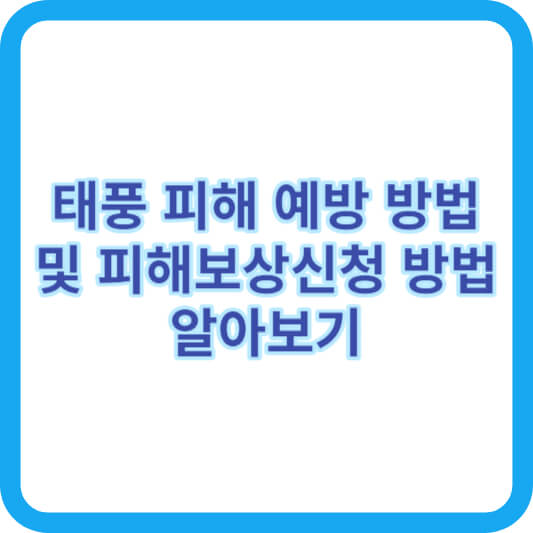 2023년 태풍 피해 예방 방법 및 피해보상 신청 방법 알아보기