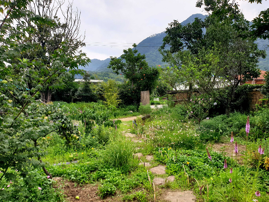 특색있고 아름다운 민간 정원 30선 추천 여행 - 30. 구례 천개의 향나무숲 정원