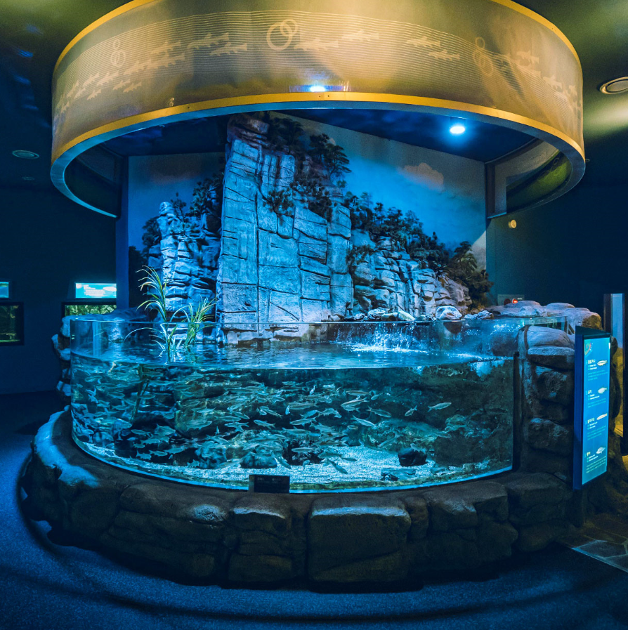 단양 여행 1박2일 코스