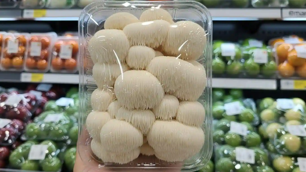 마트에서 포장 판매하고 있는 노루궁뎅이버섯