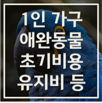 1인 가구 애완동물 추천