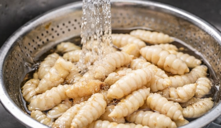 초석잠 효능 부작용 정리 및 먹는방법 (장아찌 1인분)