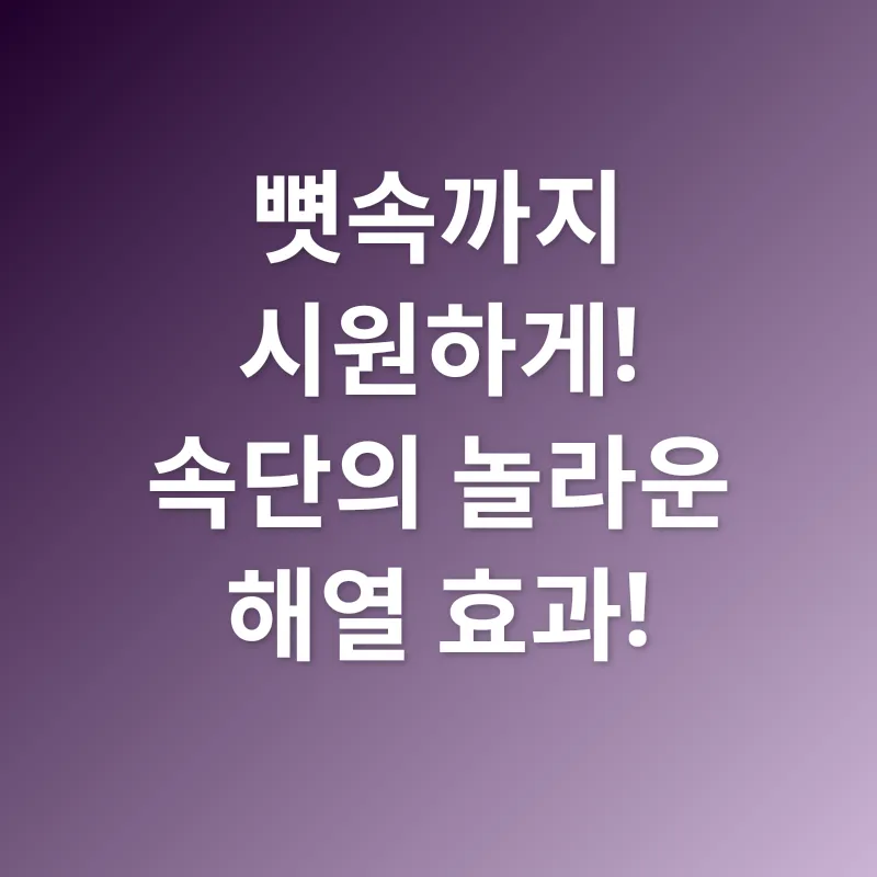 속단 효능_1