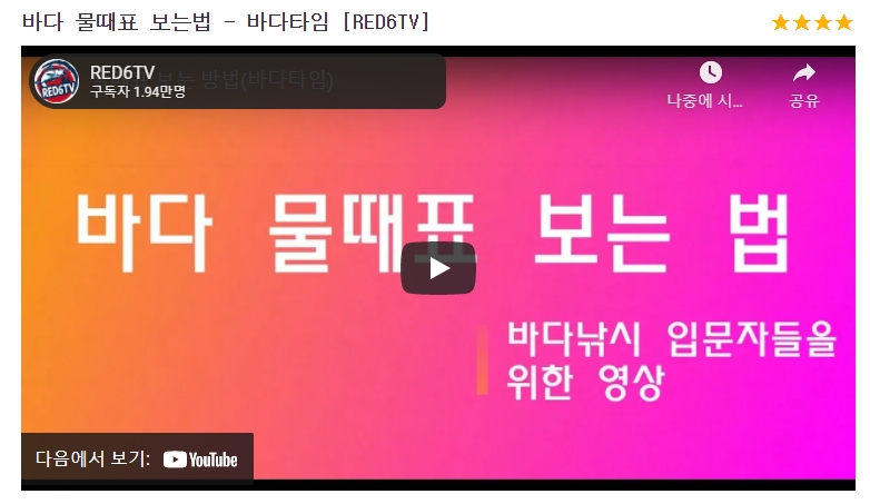 별점 4점과 5점으로 평가된 물때표 강의 영상 목록