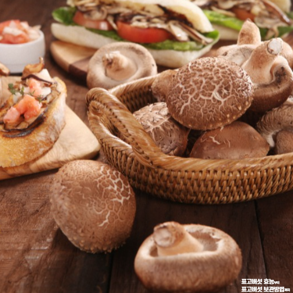 표고버섯 효능│표고버섯 보관방법 