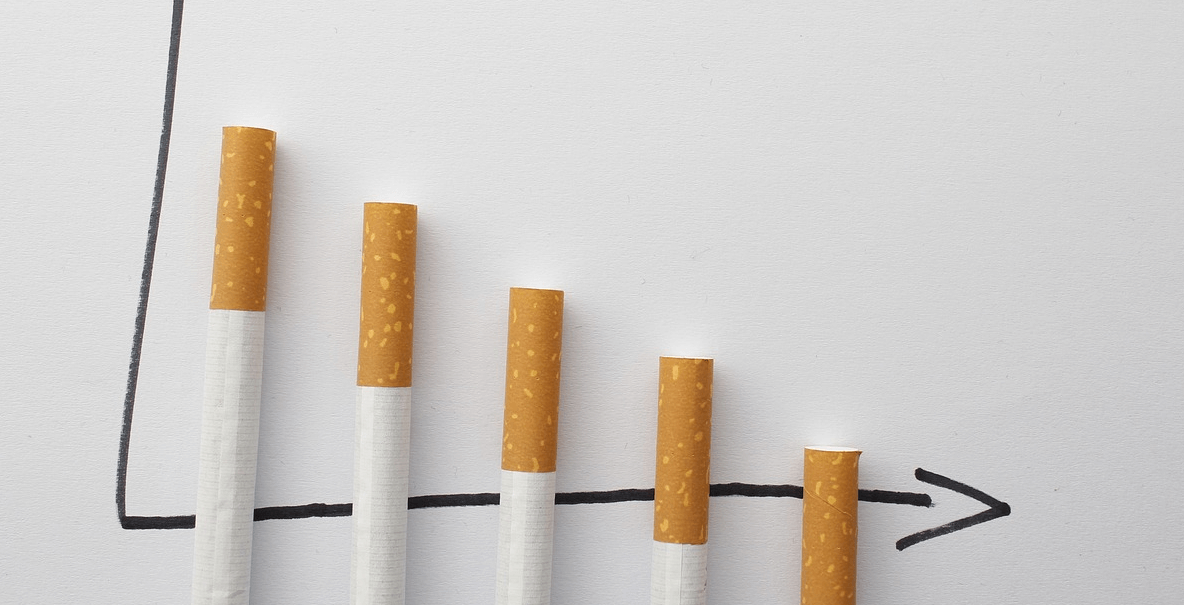 콜레스테롤 높은 이유가 되는 사진들 - 10