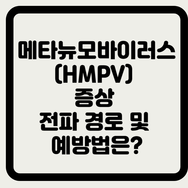 메타뉴모바이러스(HMPV) 증상 전파 경로 및 예방법