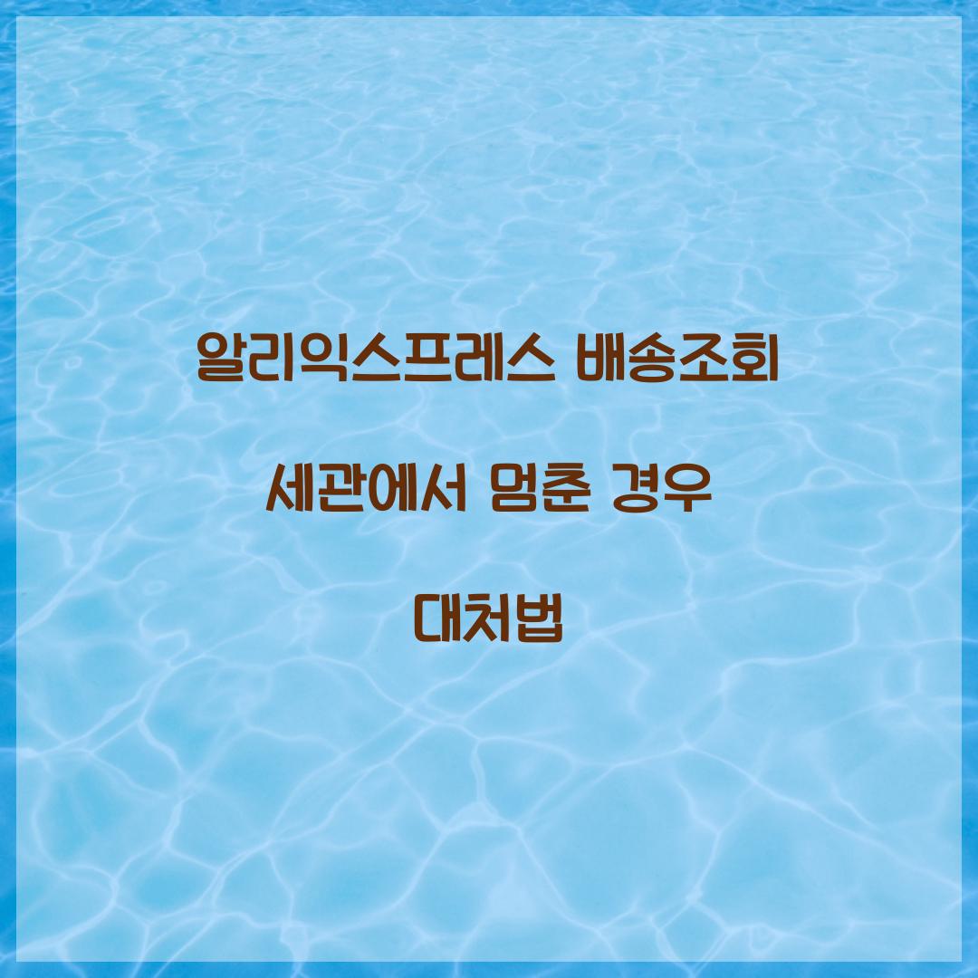 알리익스프레스 배송조회 세관에서 멈춘 경우 대처법 