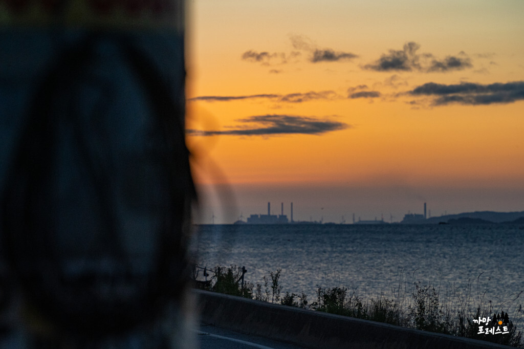 궁평항 일몰