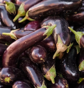 가지 효능 놀라운 9가지 부작용 고르는법 칼로리