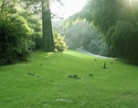 기초노령연금 수급자격 신청방법