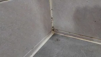 욕실 곰팡이 락스 희석비율과 안전수칙 환기방법_19