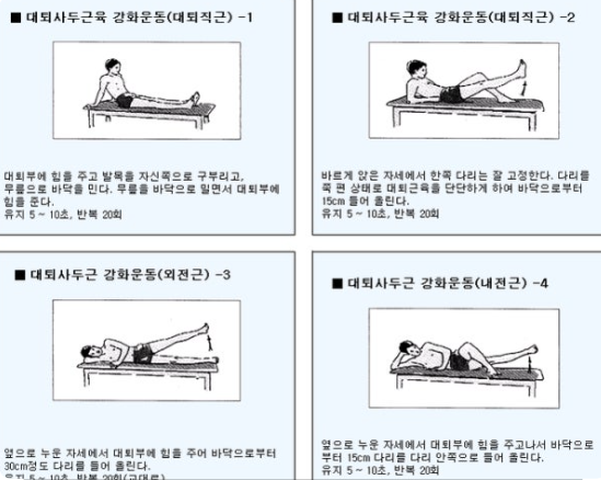 대퇴사두근 강화를 통한 무릎 관절 보호 관련 이미지