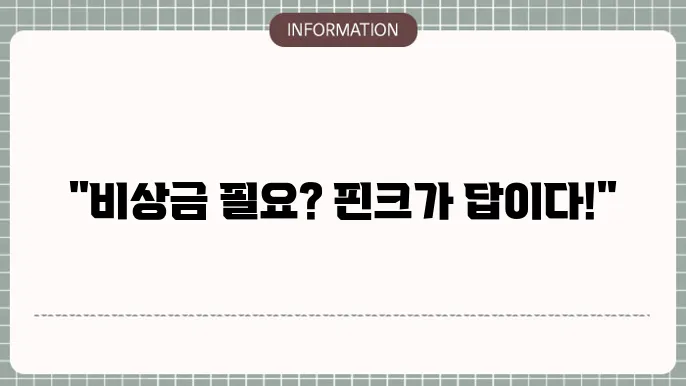 핀크 비상금대출 신청 과정