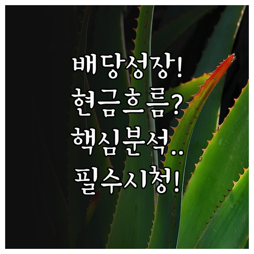 장기적인 배당 성장을 결정하는 기업 ..