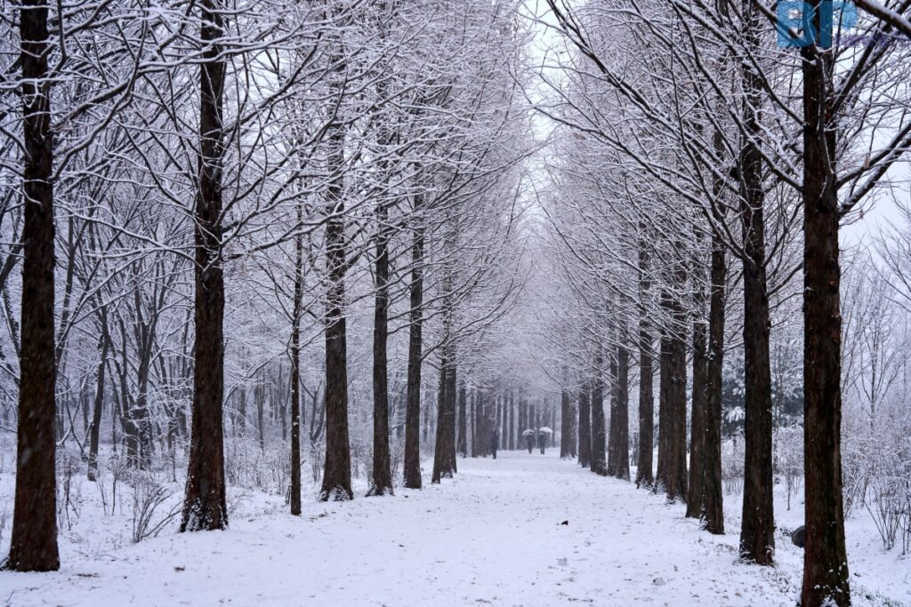 인천 남동구 반려견 겨울 나들이 명소, 강아지와 함께 걷기 좋은 산책 코스