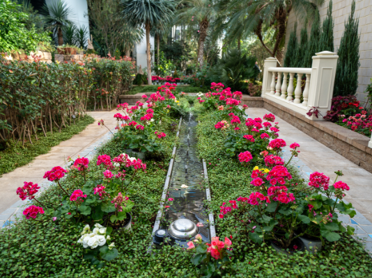 겨울 제주도 여행