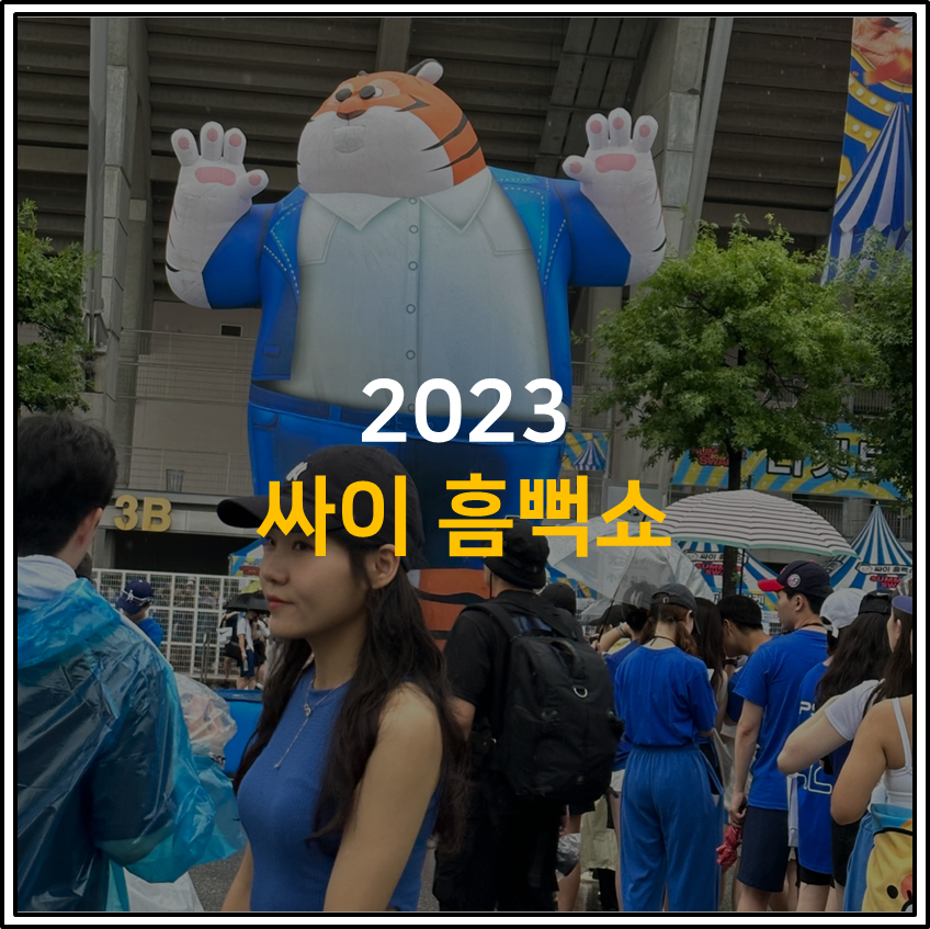 내가 기억하려고 쓰는 흠뻑쇼 꿀팁