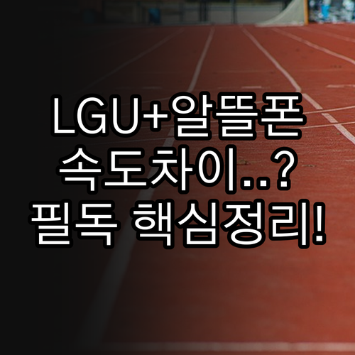 LGU+망 알뜰폰 요금제 종류와 사용..