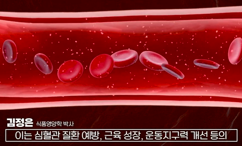 전립선 사군자