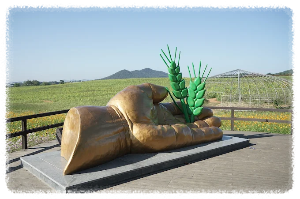 보리나라 학원농장