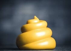 황금색-똥이-아이스크림처럼-쌓아올려진-모습