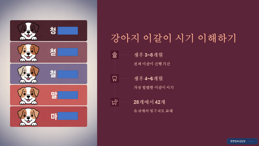 강아지 유치 빠질 때 필요한 장난감 - 올바른 교체 시기와 선택 팁