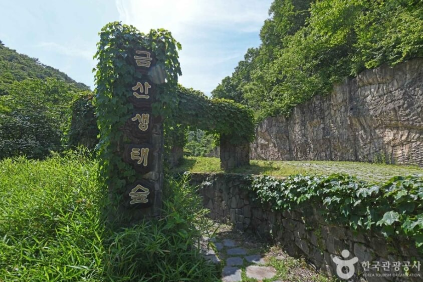 금산 가볼만한곳 베스트 10