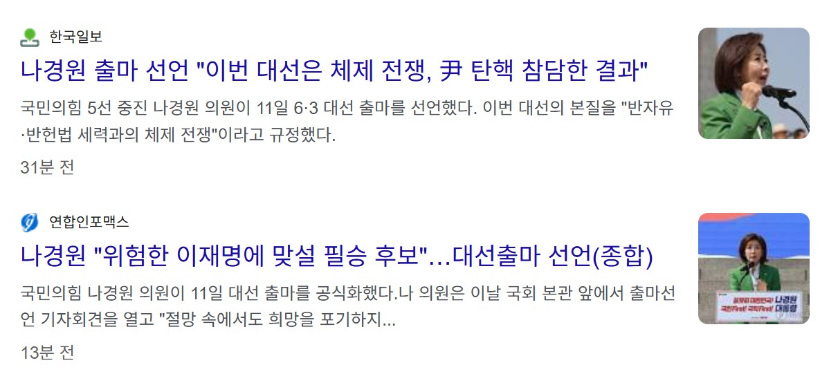 나경원 대선 출마