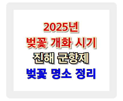 2025 벚꽃 개화 시기와 진해 군항제, 벚꽃 명소 총정리