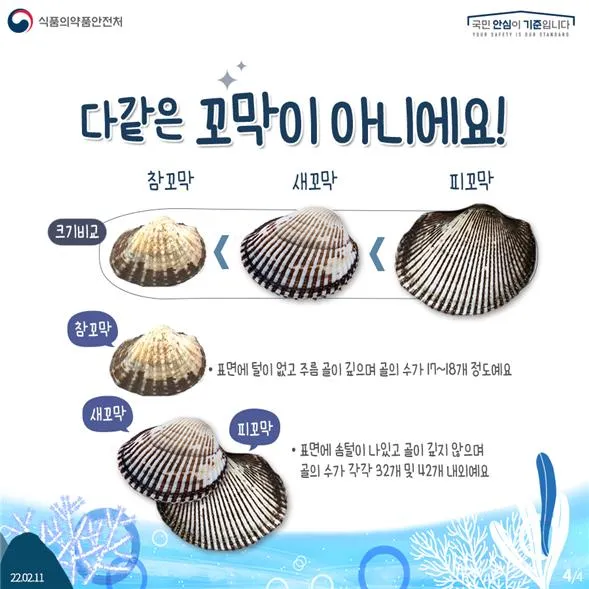 꼬막 무침 맛있게 삶는법_2