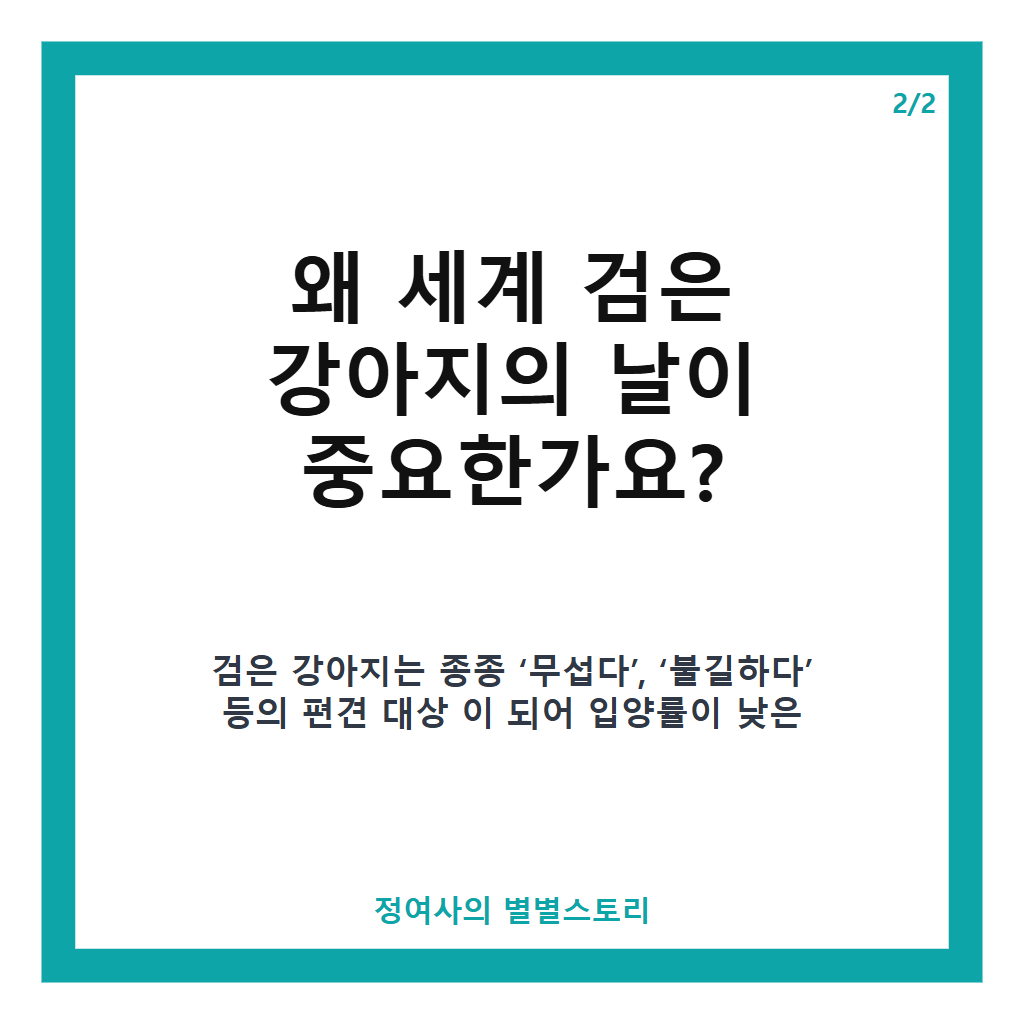 월 1일은 세계 검은 강아지의 날, 편견을 넘는 입양 독려의 의미 카드뉴스 3