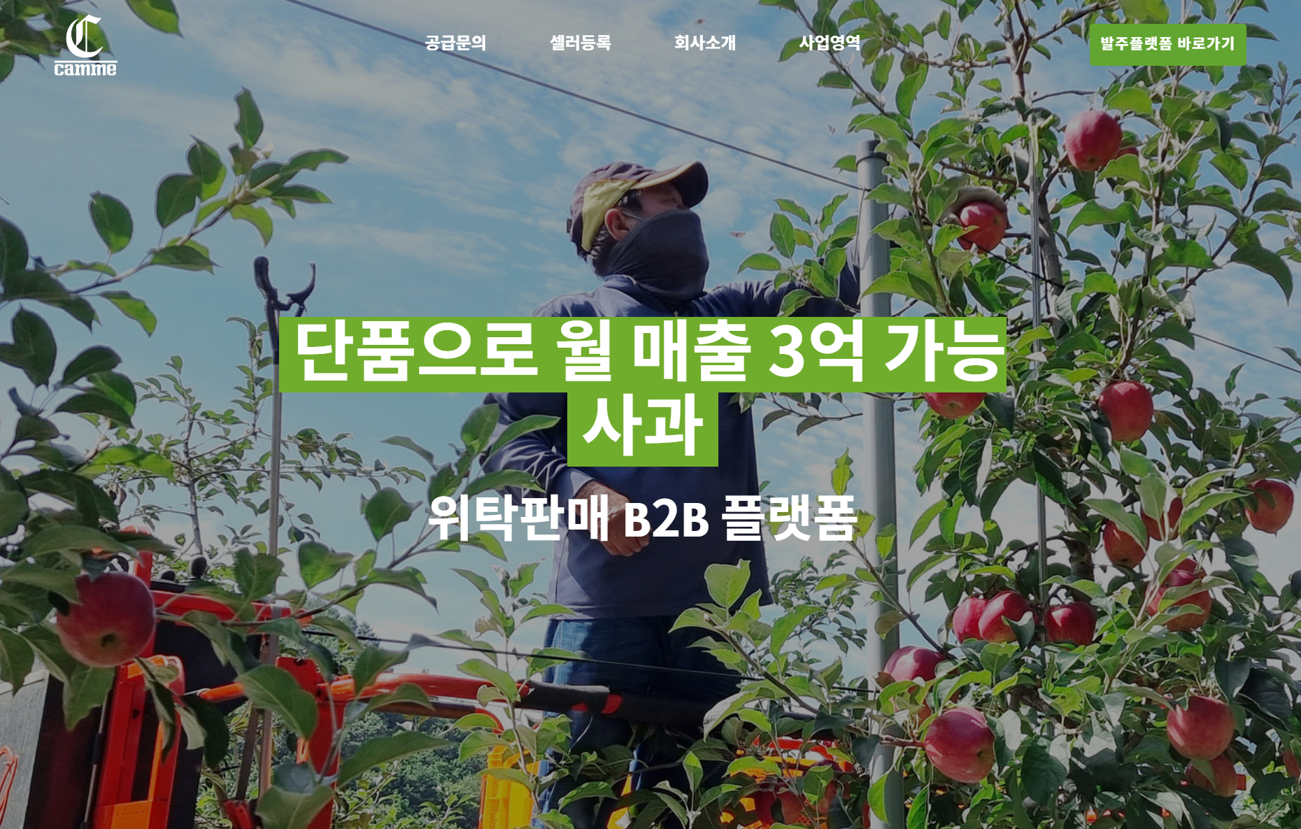팜므커머스