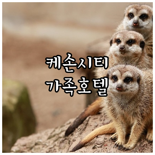 케손 시티 호텔 추천! 가족 여행객을..