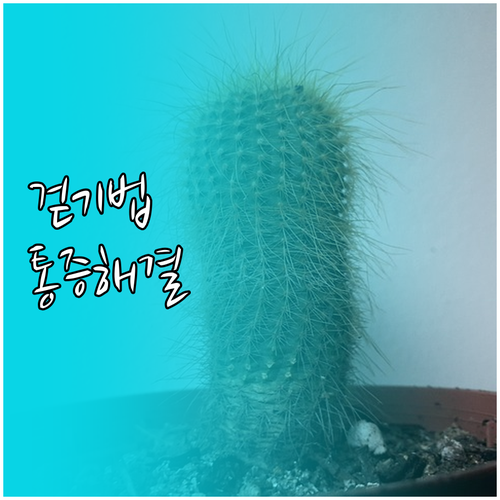 족저근막염 걷기 습관 교정과 통증 관..