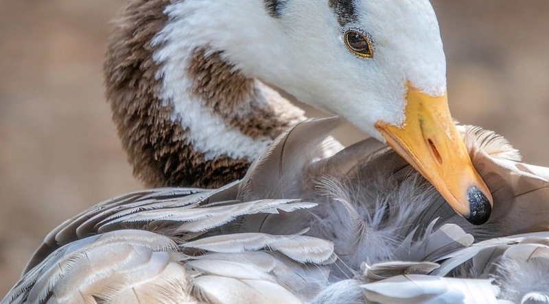 Bus Bar 허용전류 확인을 위한 체크리스트
