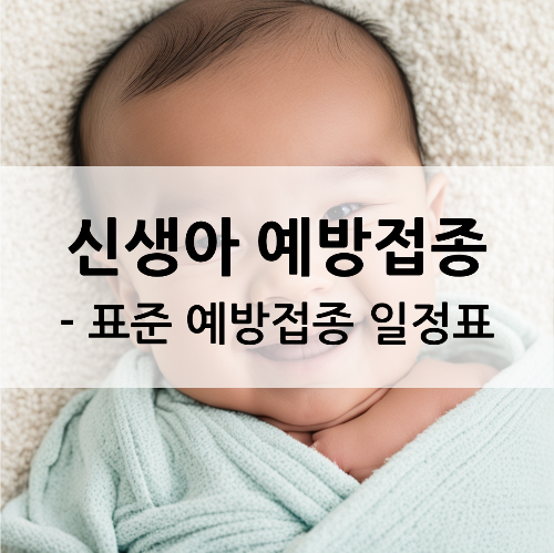 표준 예방접종 일정표로 알아보는 신생아 예방접종 스케줄