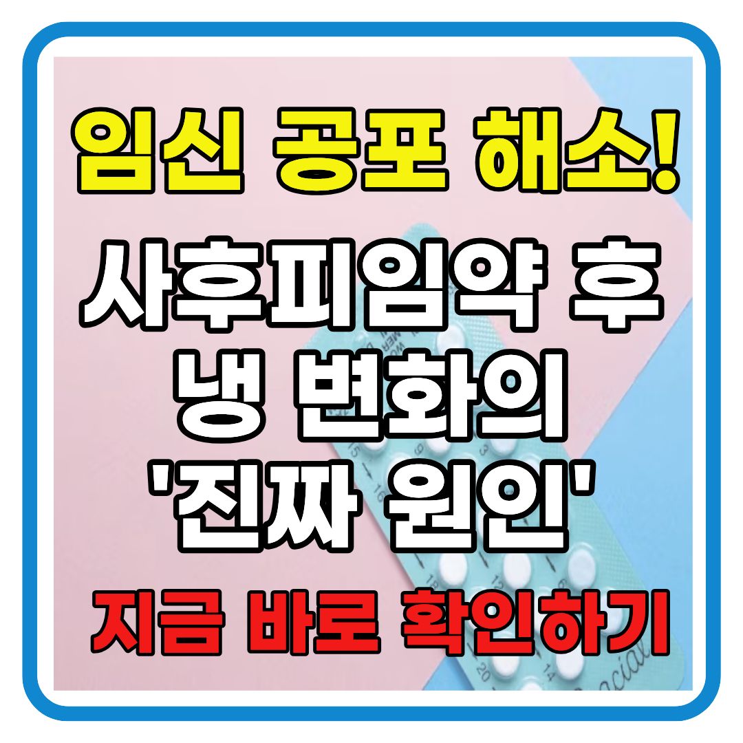 긴급 정보! 사후피임약 복용 직후 냉 분비물, 임신 극초기 증상일까요? (세븐투에이치원정 부작용 분석)