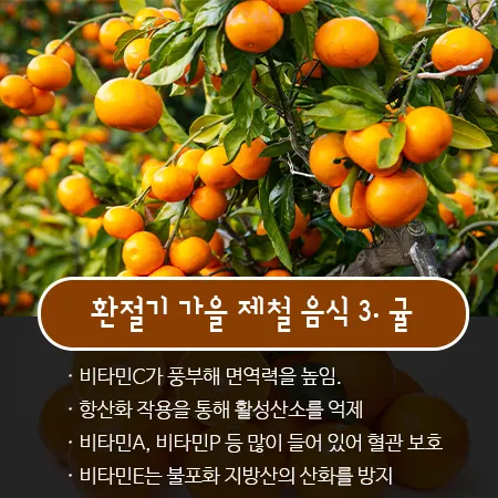 면역력 높이는 방법