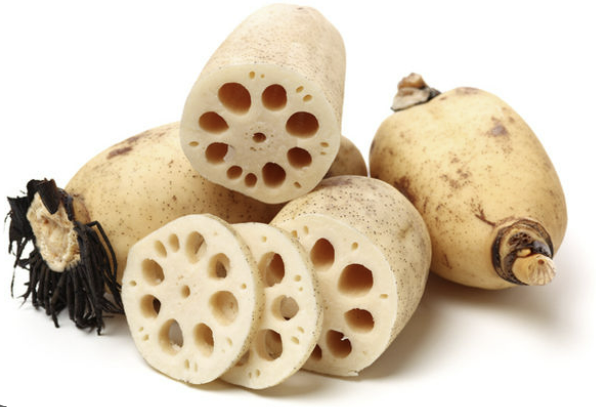 연근 효능 요리종류 보관방법 연근 조림 만드는 방법 총정리