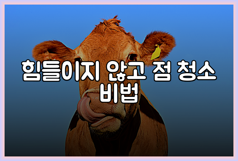 힘들이지 않고 점 청소 비법