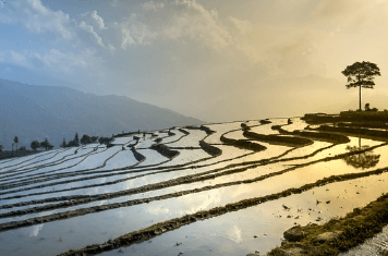 베트남 여행시 주의사항