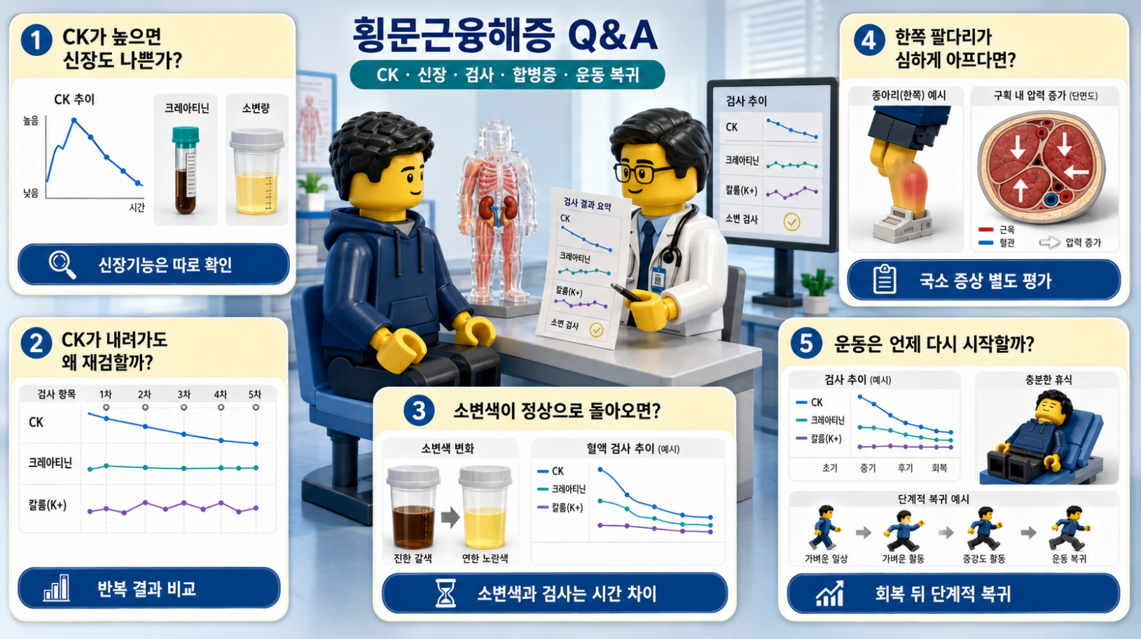 횡문근융해증의 CK 검사, 신장기능, 소변검사, 구획증후군과 운동 복귀 관련 Q&A 의료 인포그래픽