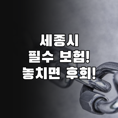 2025 세종시 시민안심보험, 궁금했..