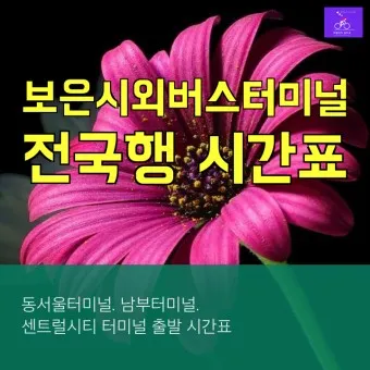 보은 시외버스터미널 시간표 예매 요금표_28