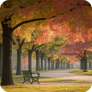 서울&middot;수도권 당일치기 단풍 여행 명소 이미지