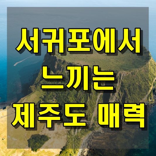 서귀포에서 느끼는 제주도의 매력