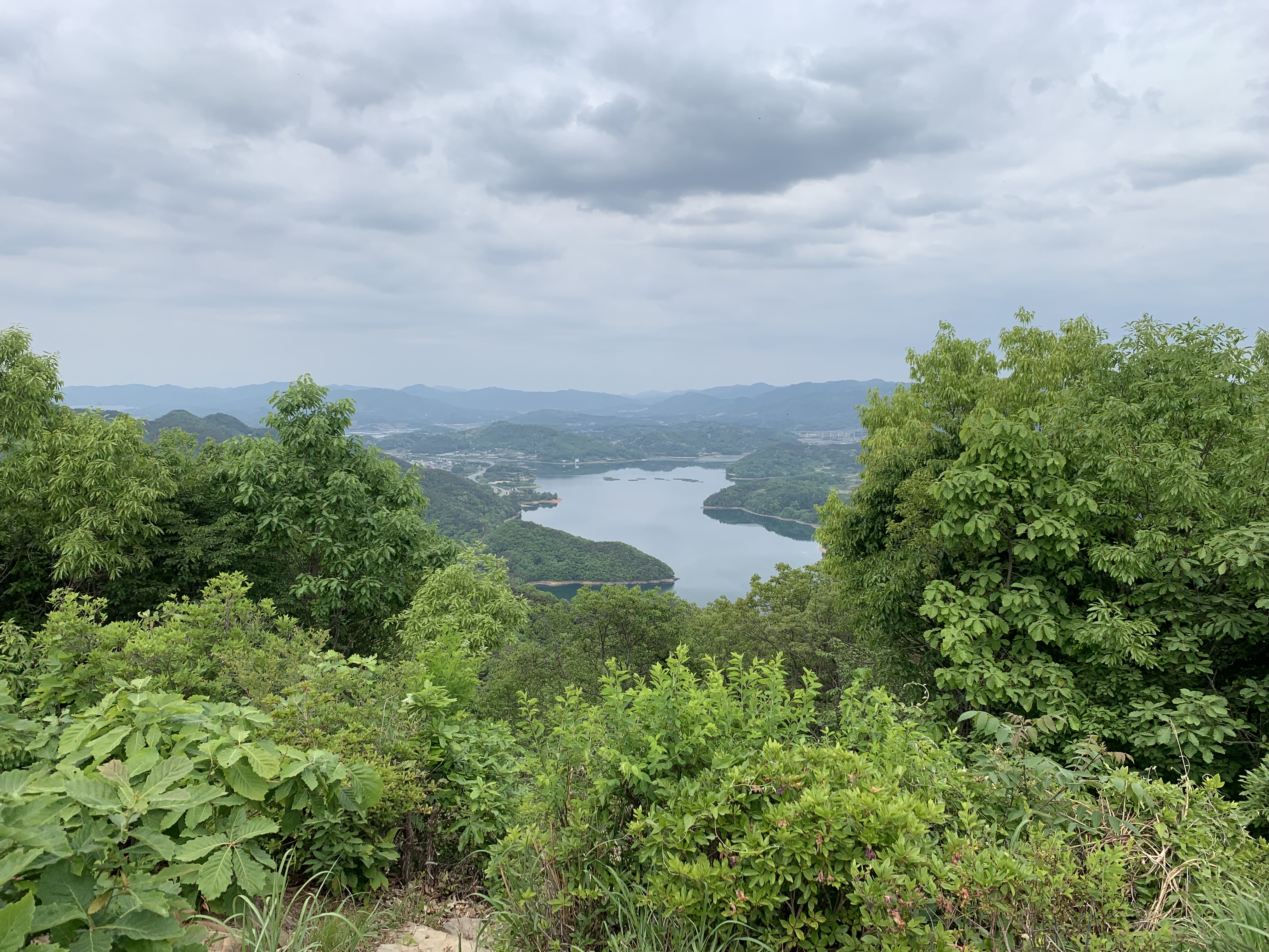 구룡산 등산