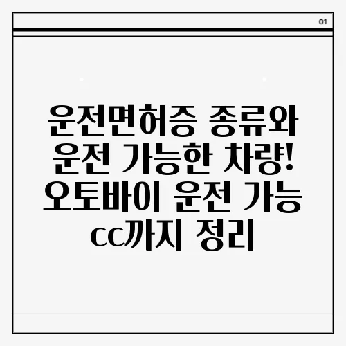 운전면허증 종류와 운전 가능한 차량! 오토바이 운전 가능 cc까지 정리