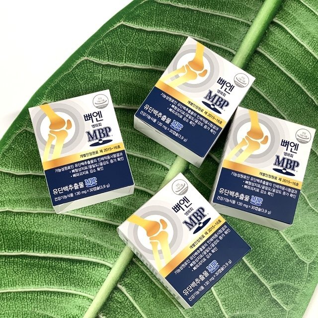 관절 영양제 추천 순위 (내돈내산 솔직후기)